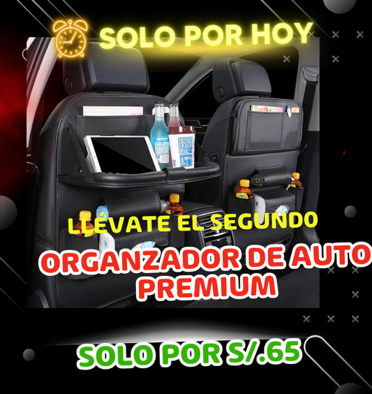 OFERTA FLASH ORGANIZADOR DE AUTO